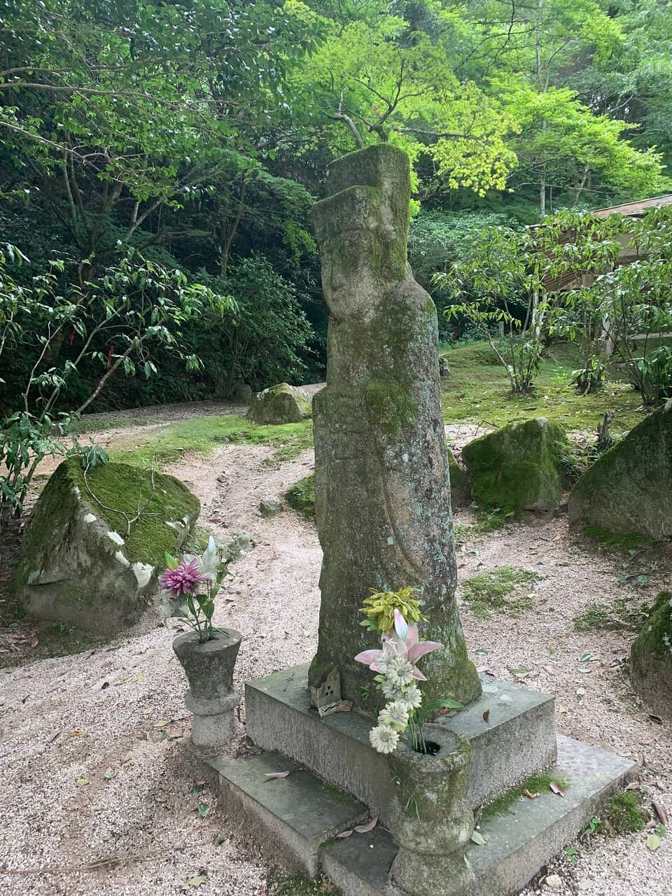 Vertical photo