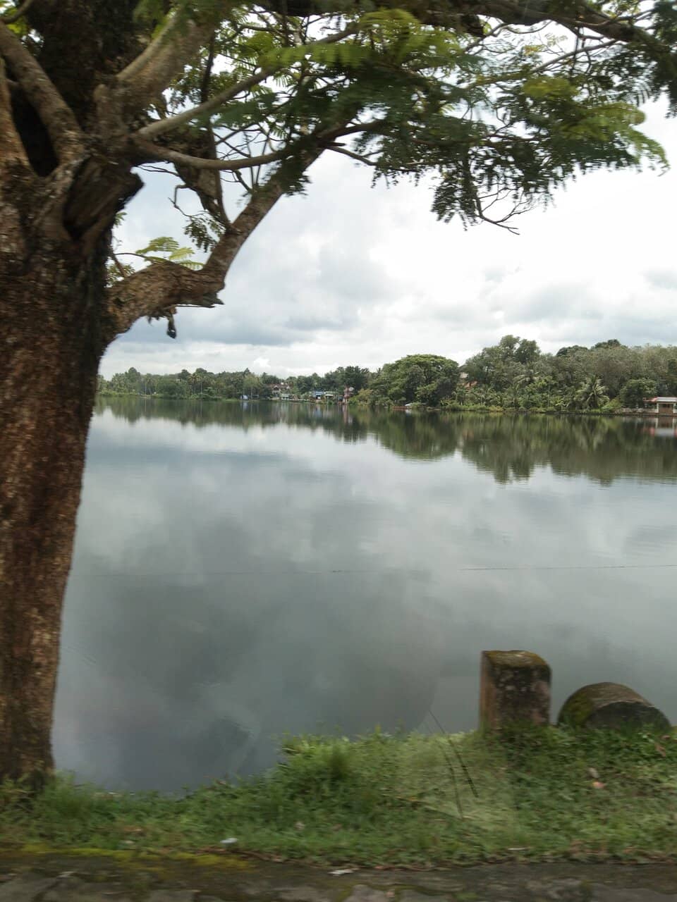 Malayattoor Perunnal Festival