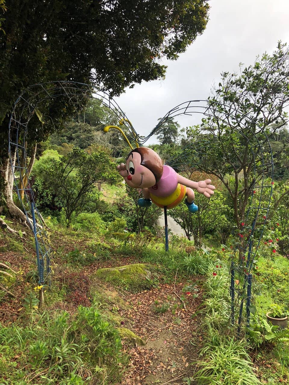 Vibrant Flower Gardens