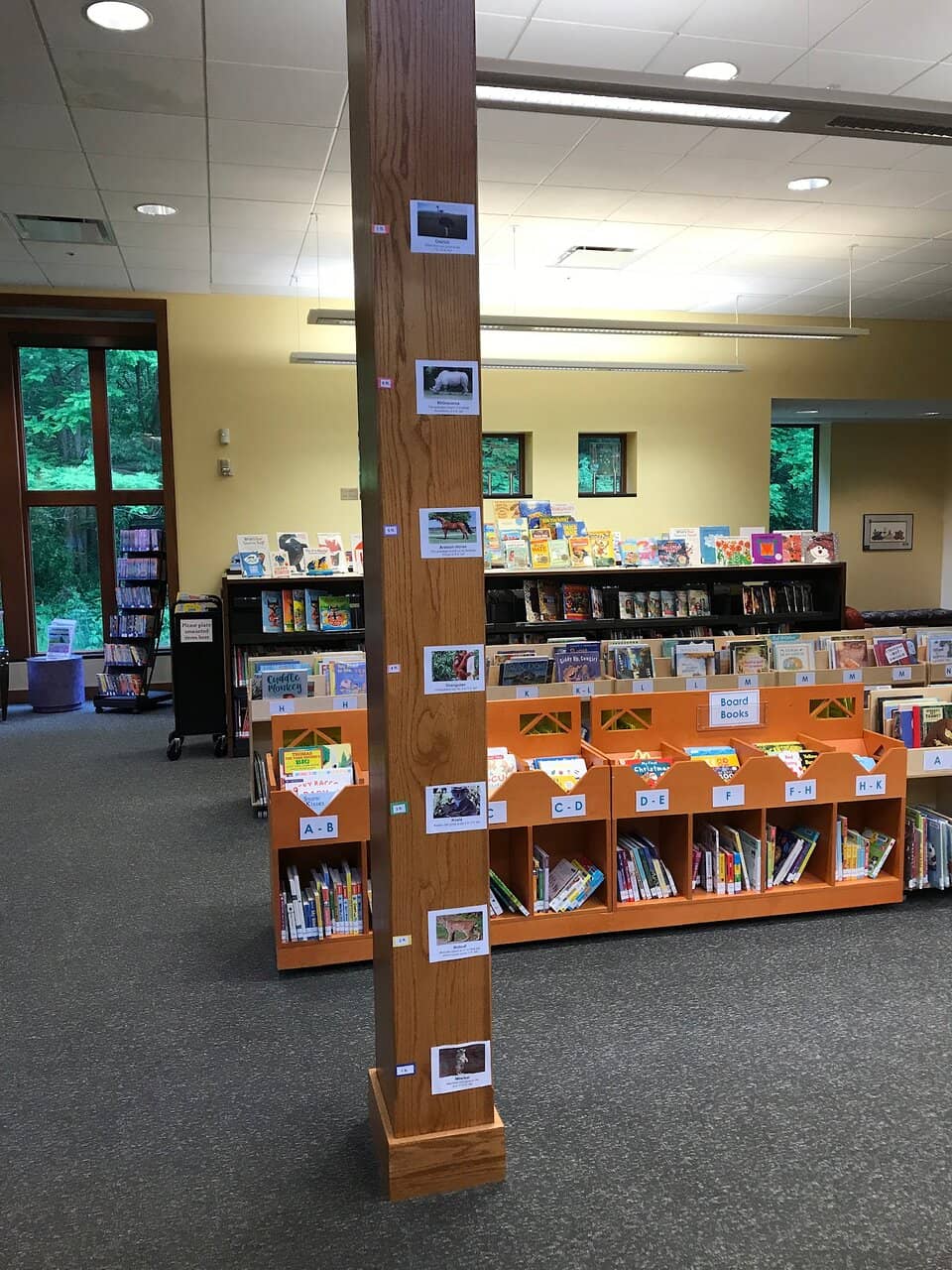 Children's Section