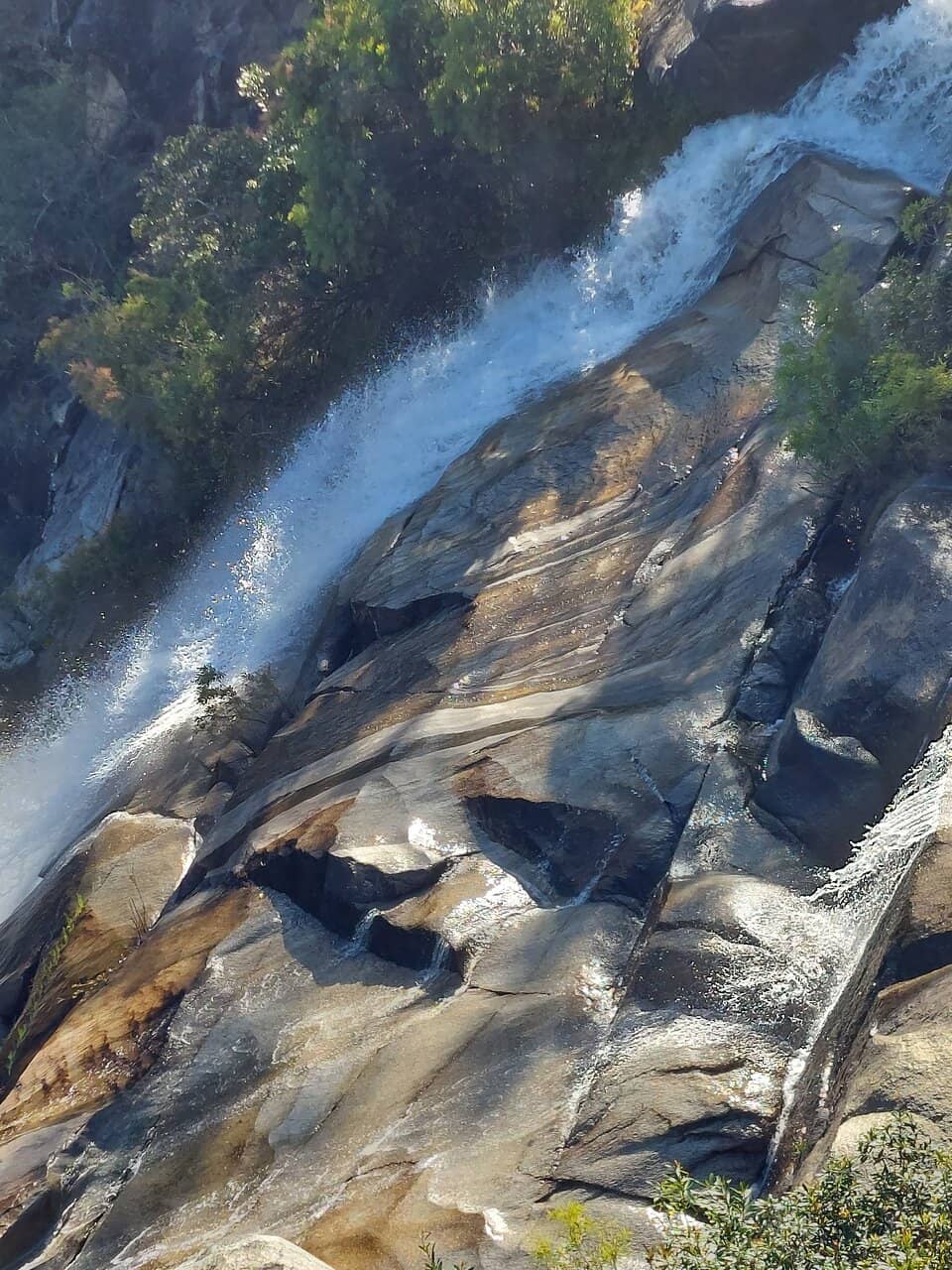 Vertical photo