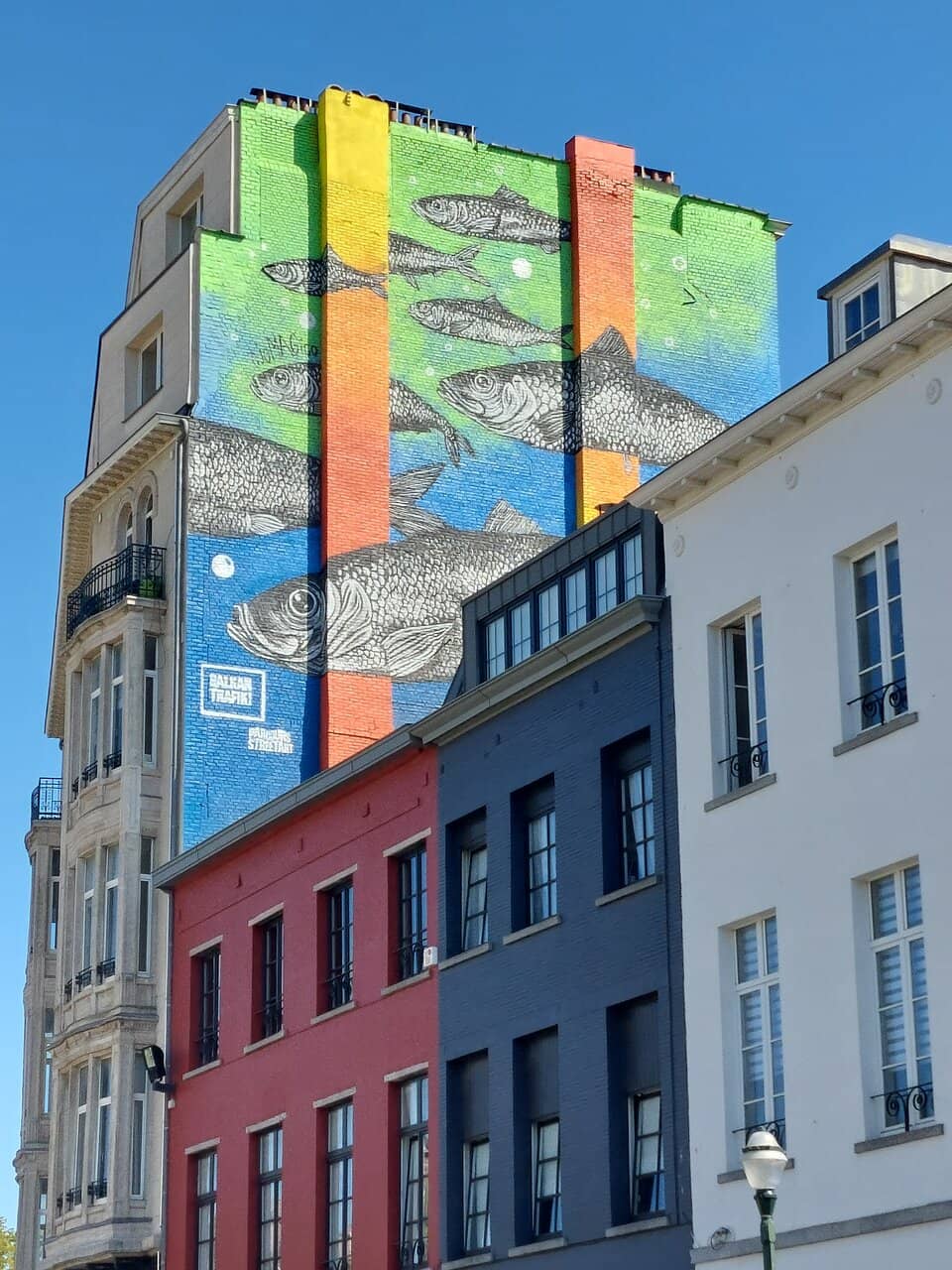 Vertical photo