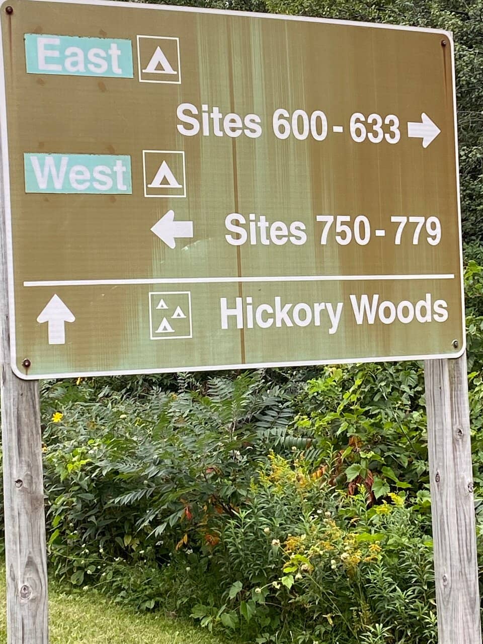 Paradise Springs Nature Area