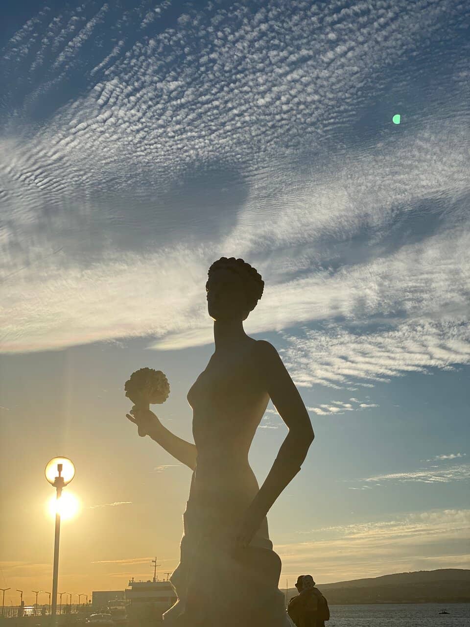 Vertical photo