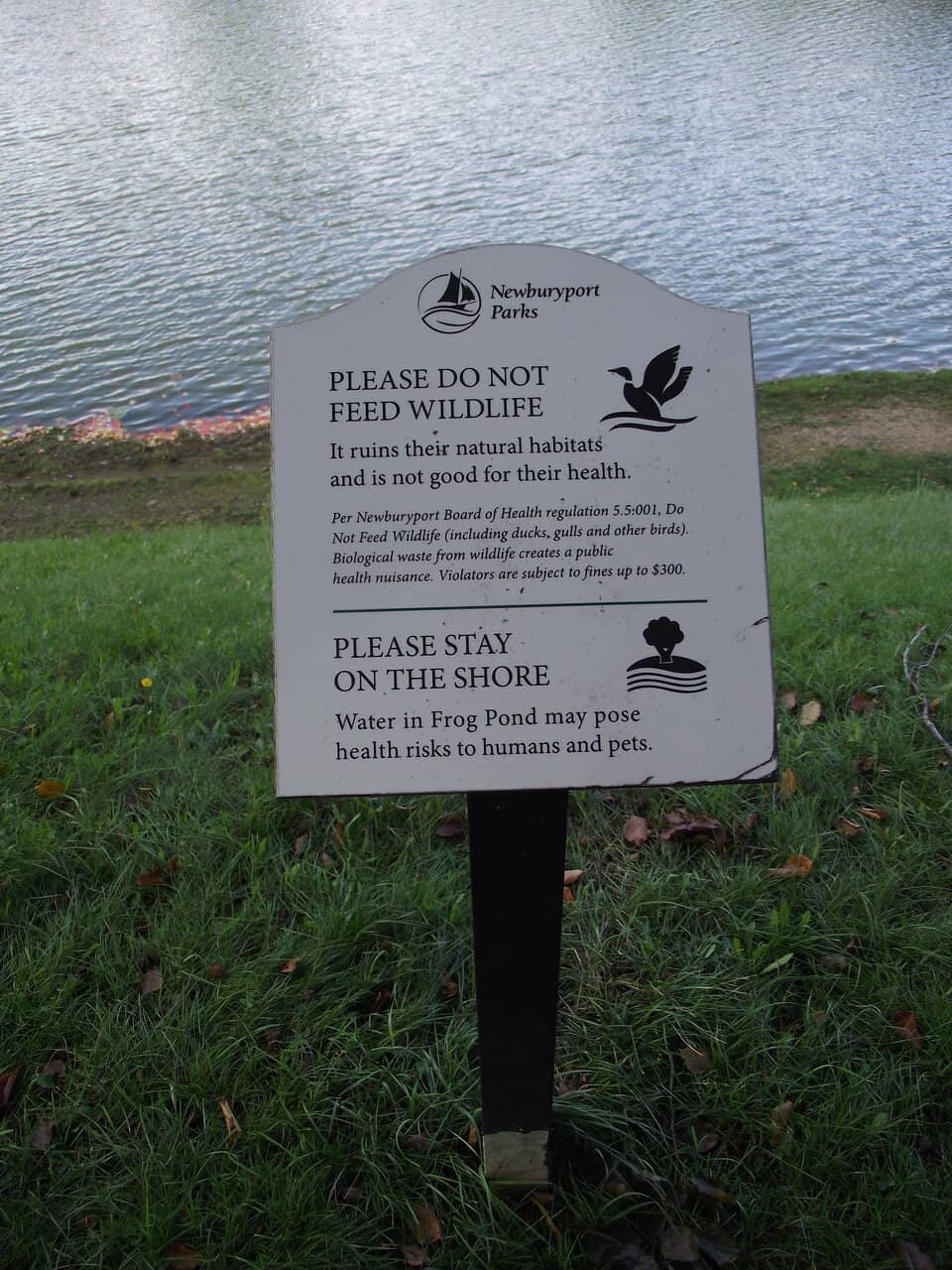 Inclusive Playground