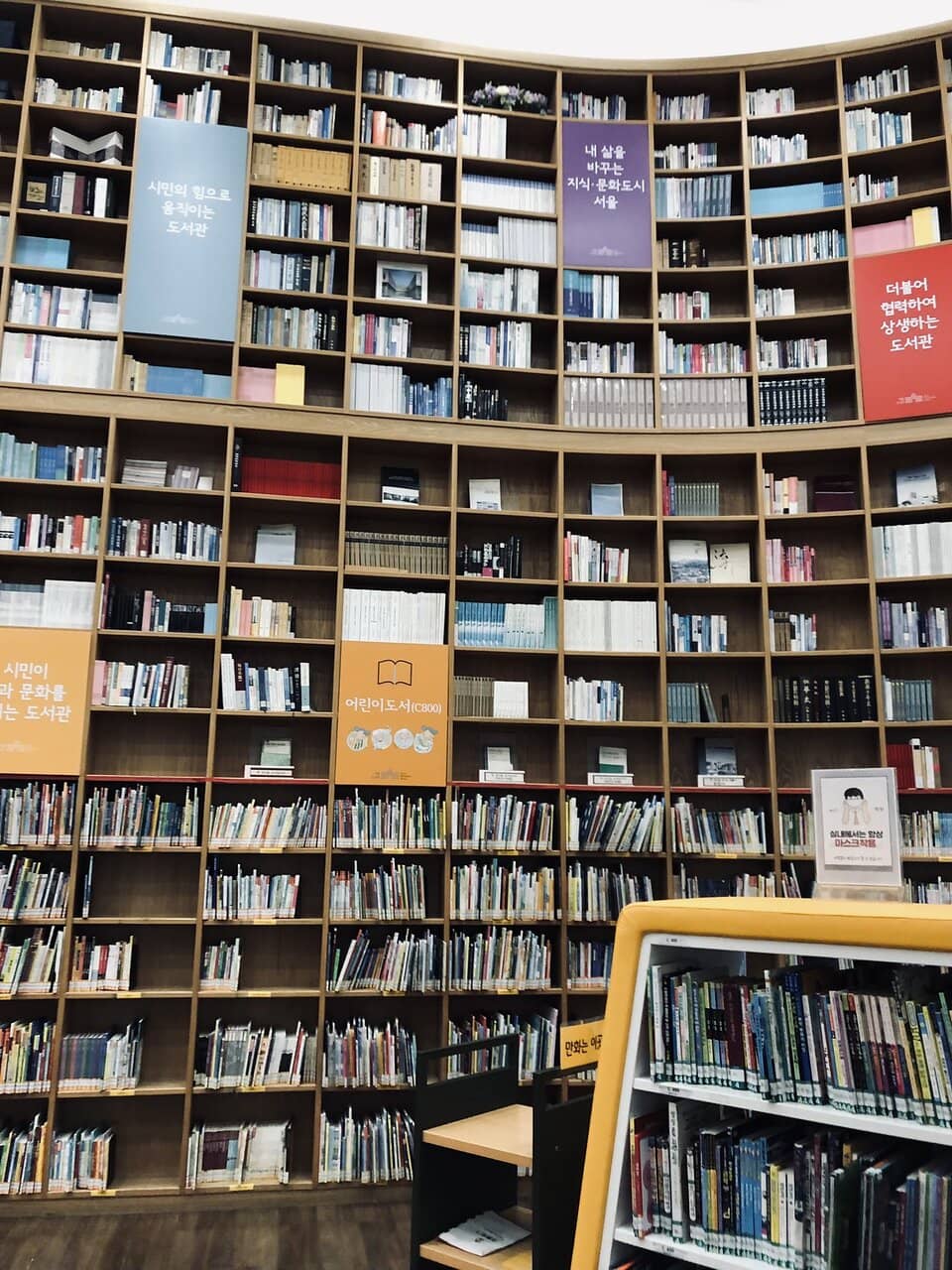 Extensive Book Collection