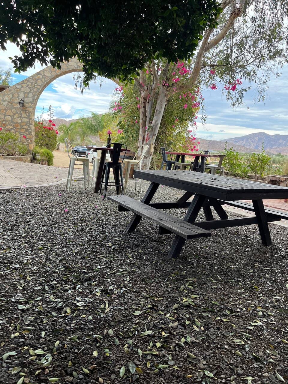 Restaurant & Ambiance