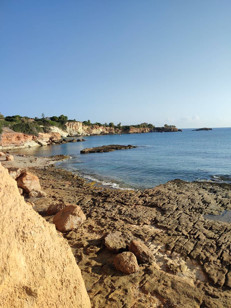 Vertical photo