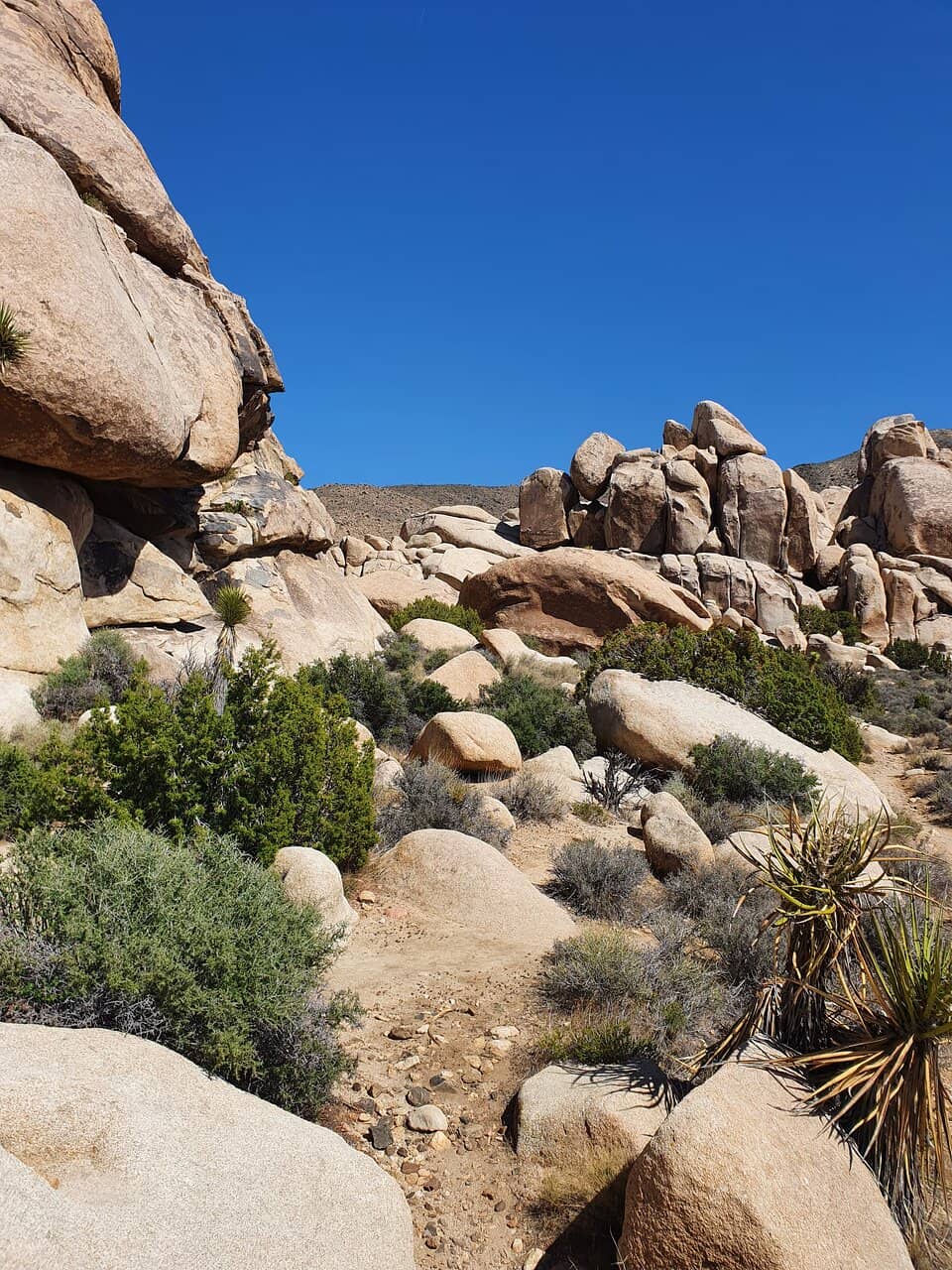 Bouldering Opportunities