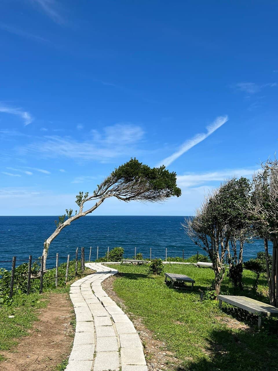 Vertical photo