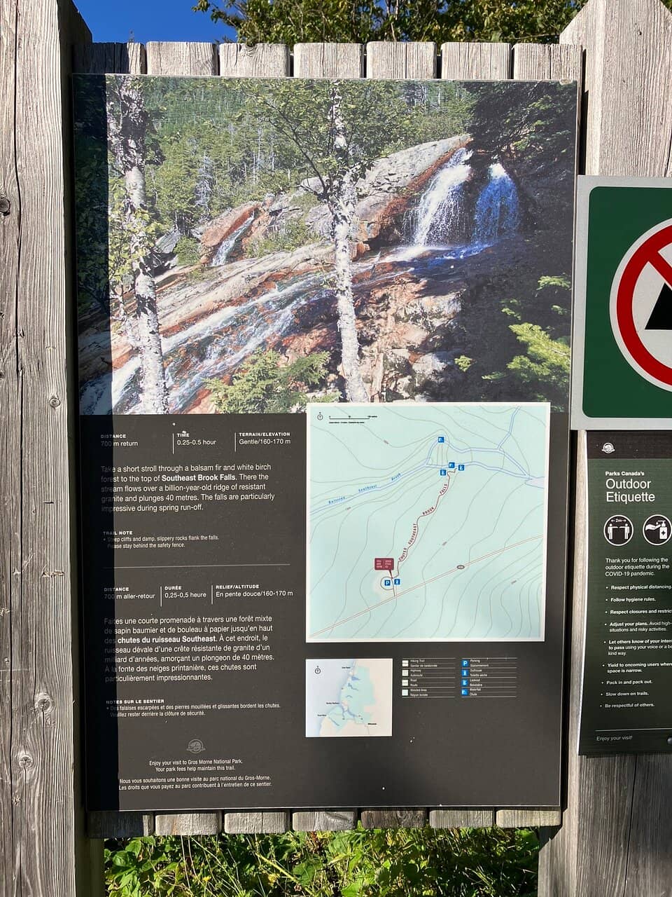 Forest Trails