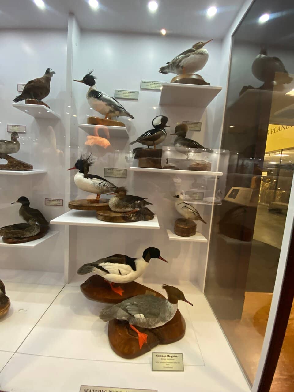 Interactive Learning Zones