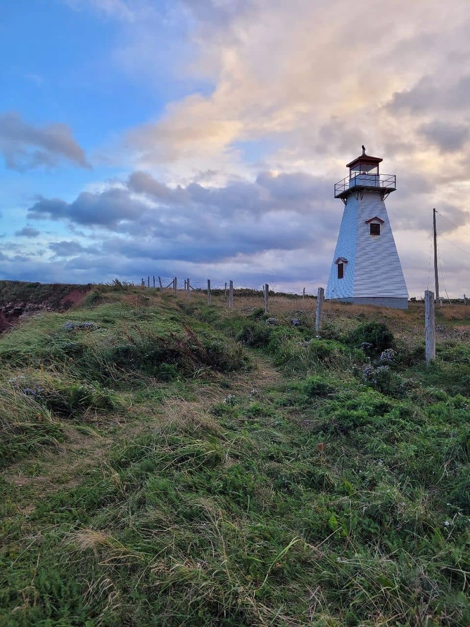 Highlights