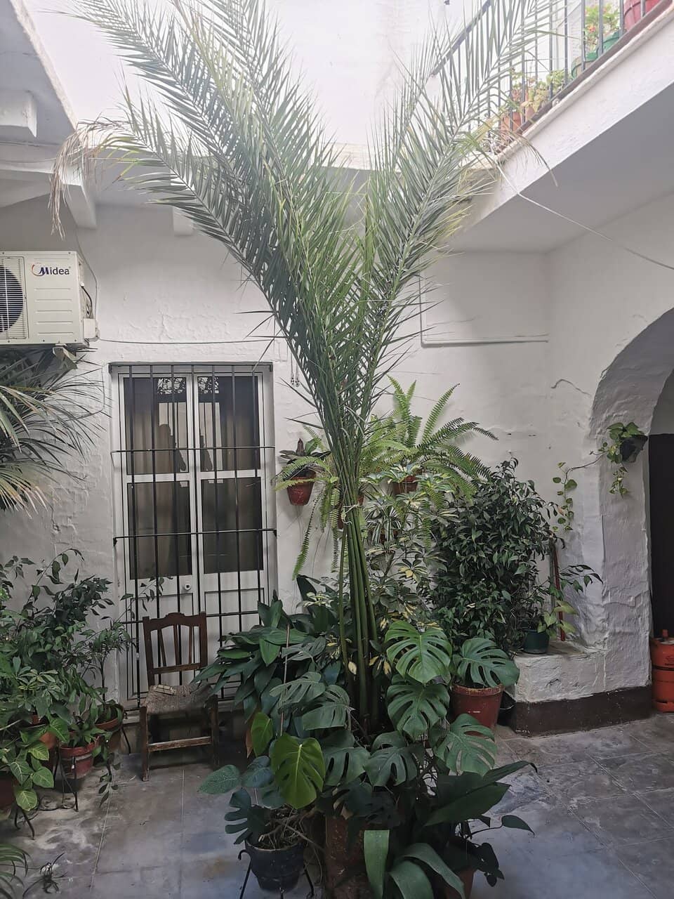 Andalusian Garden Oasis