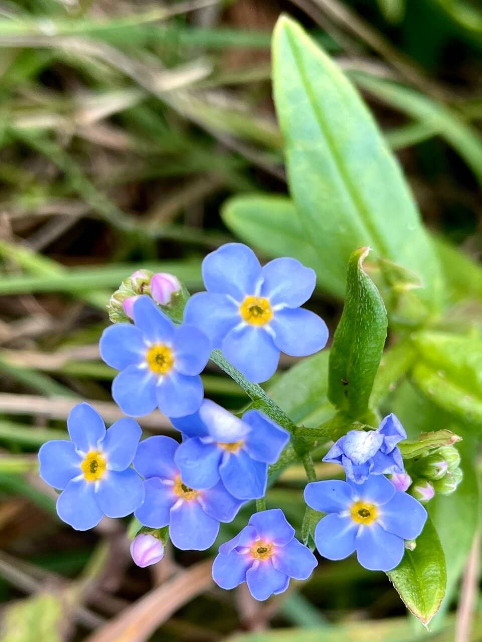 Vertical photo