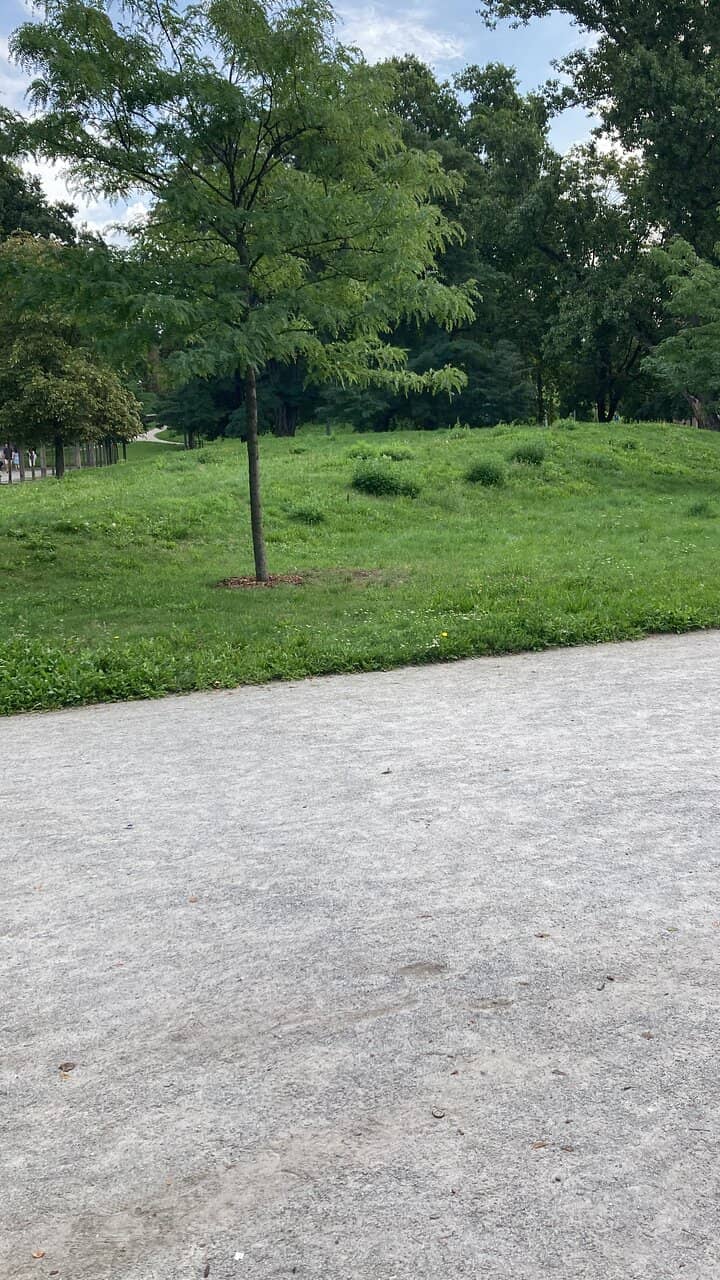 Vertical photo