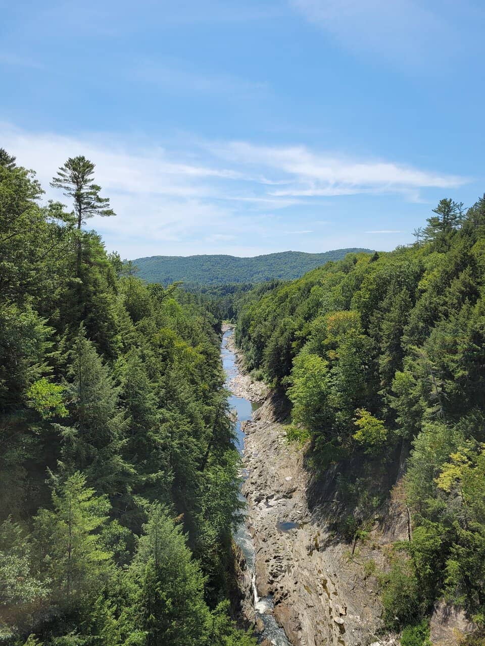 Four-Season Resort Experience