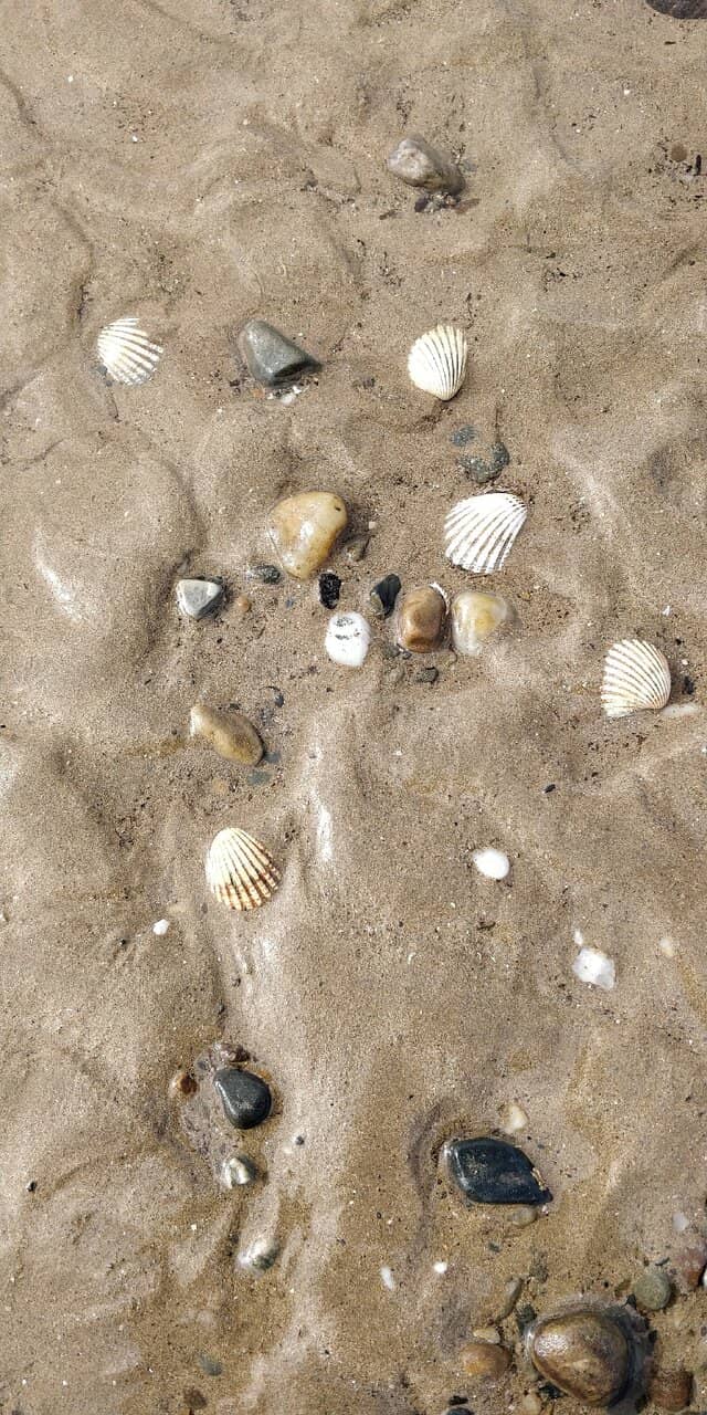 Family-Friendly Waters