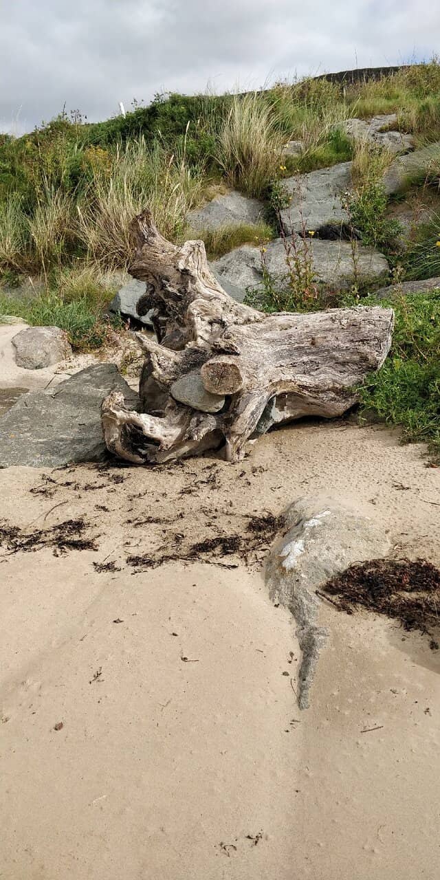 Vertical photo