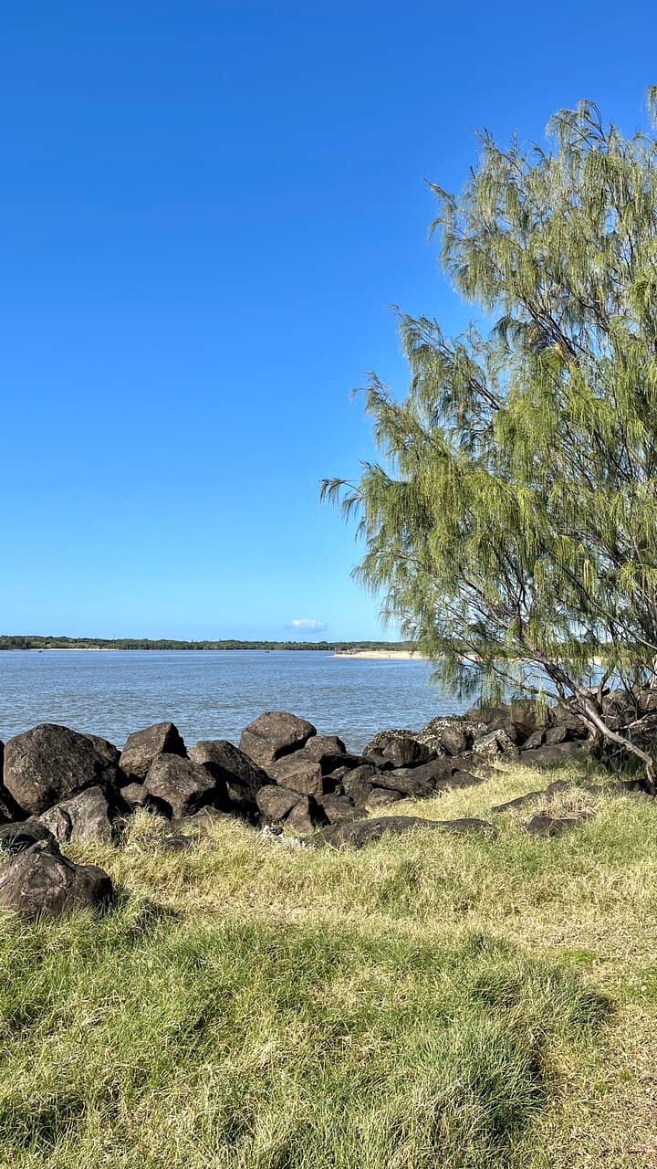 Dog-Friendly Shoreline