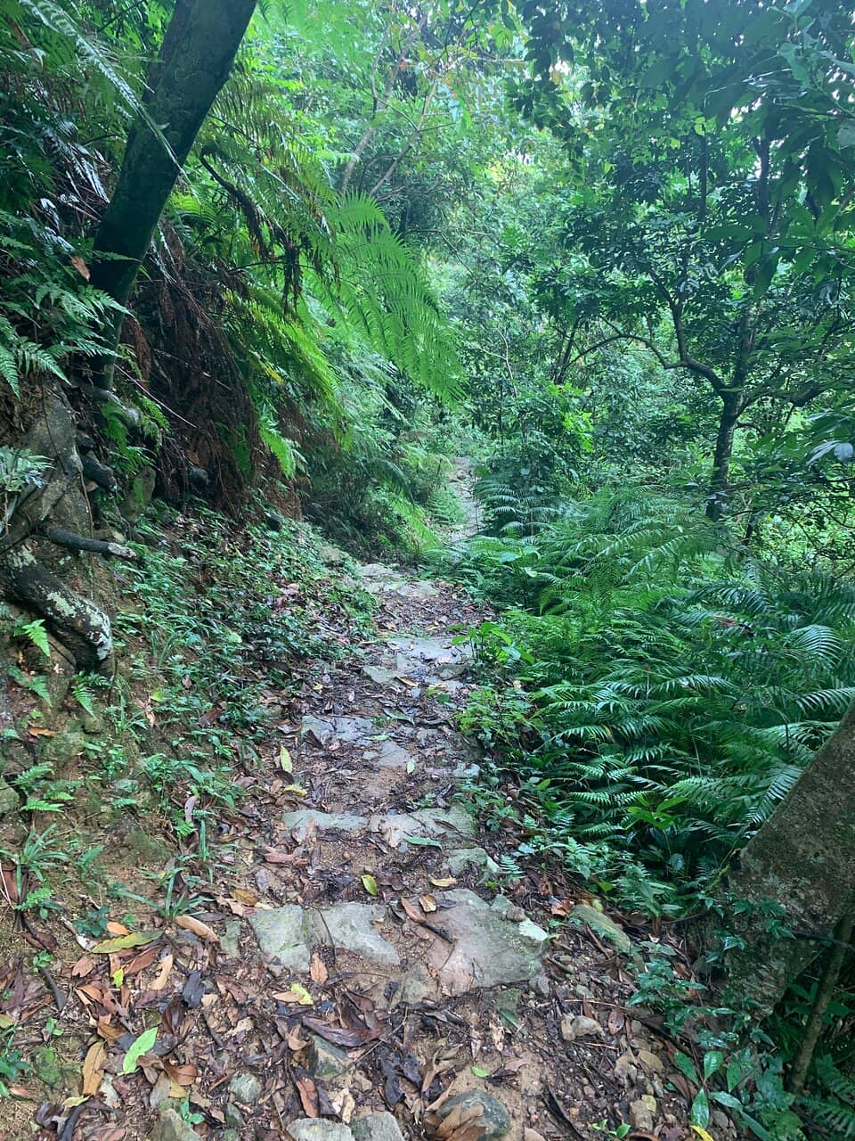 The Lower Pools