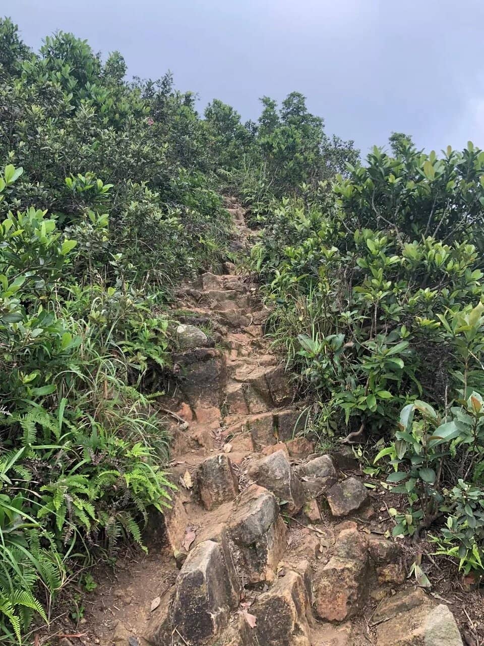 Clear Water Bay Coastal Views