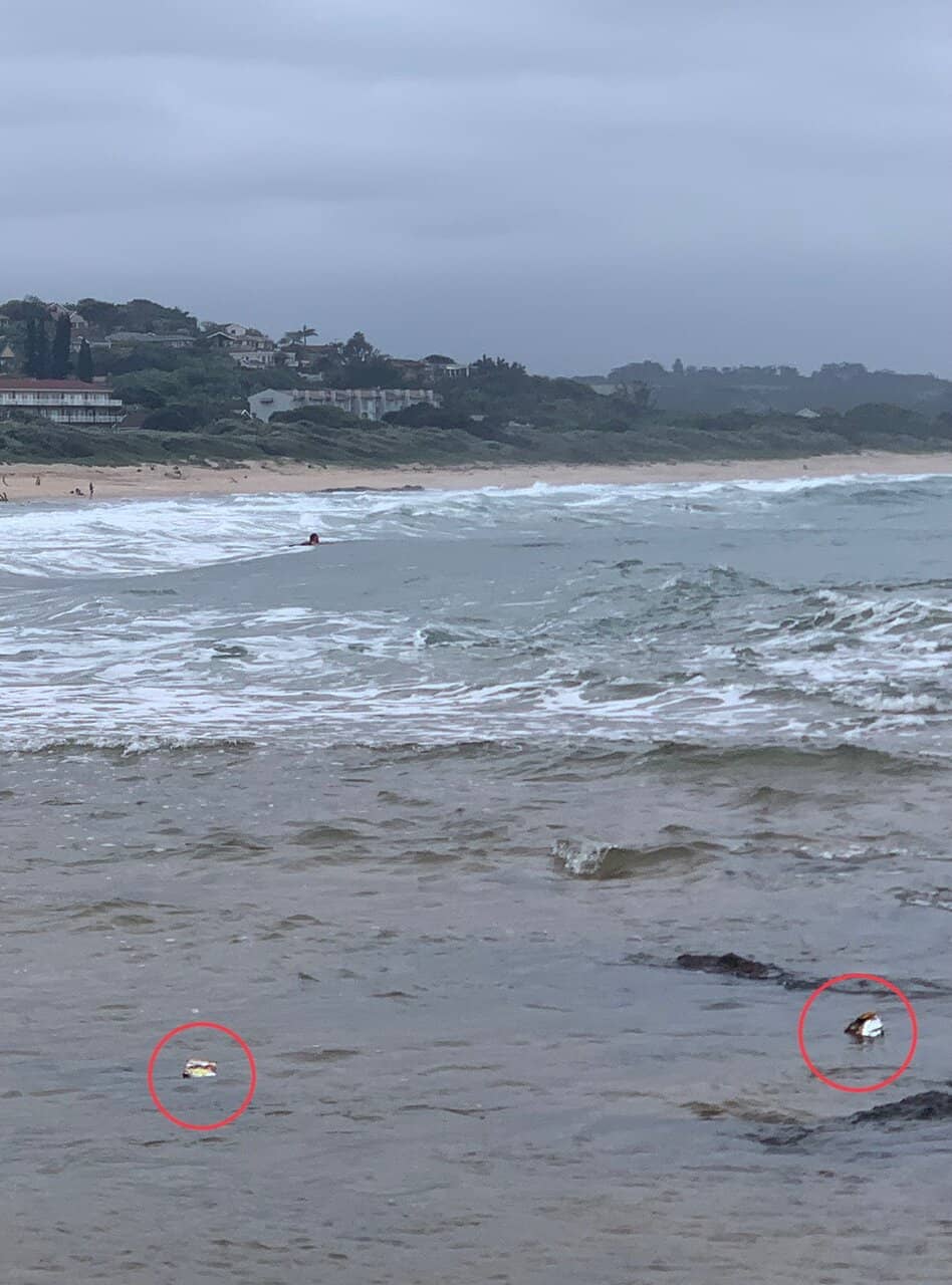 Surf's Up!