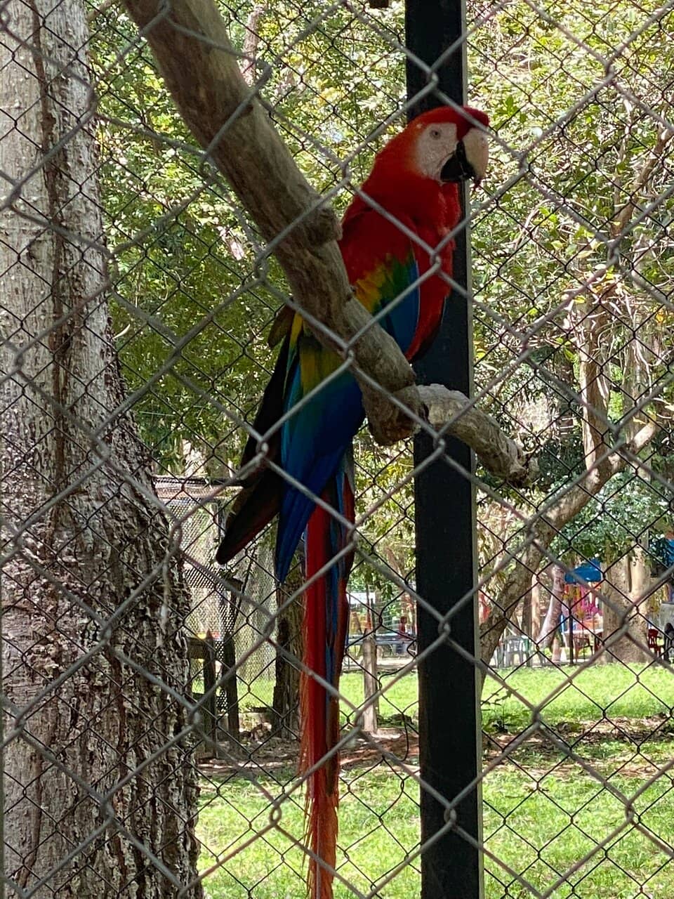 Vertical photo