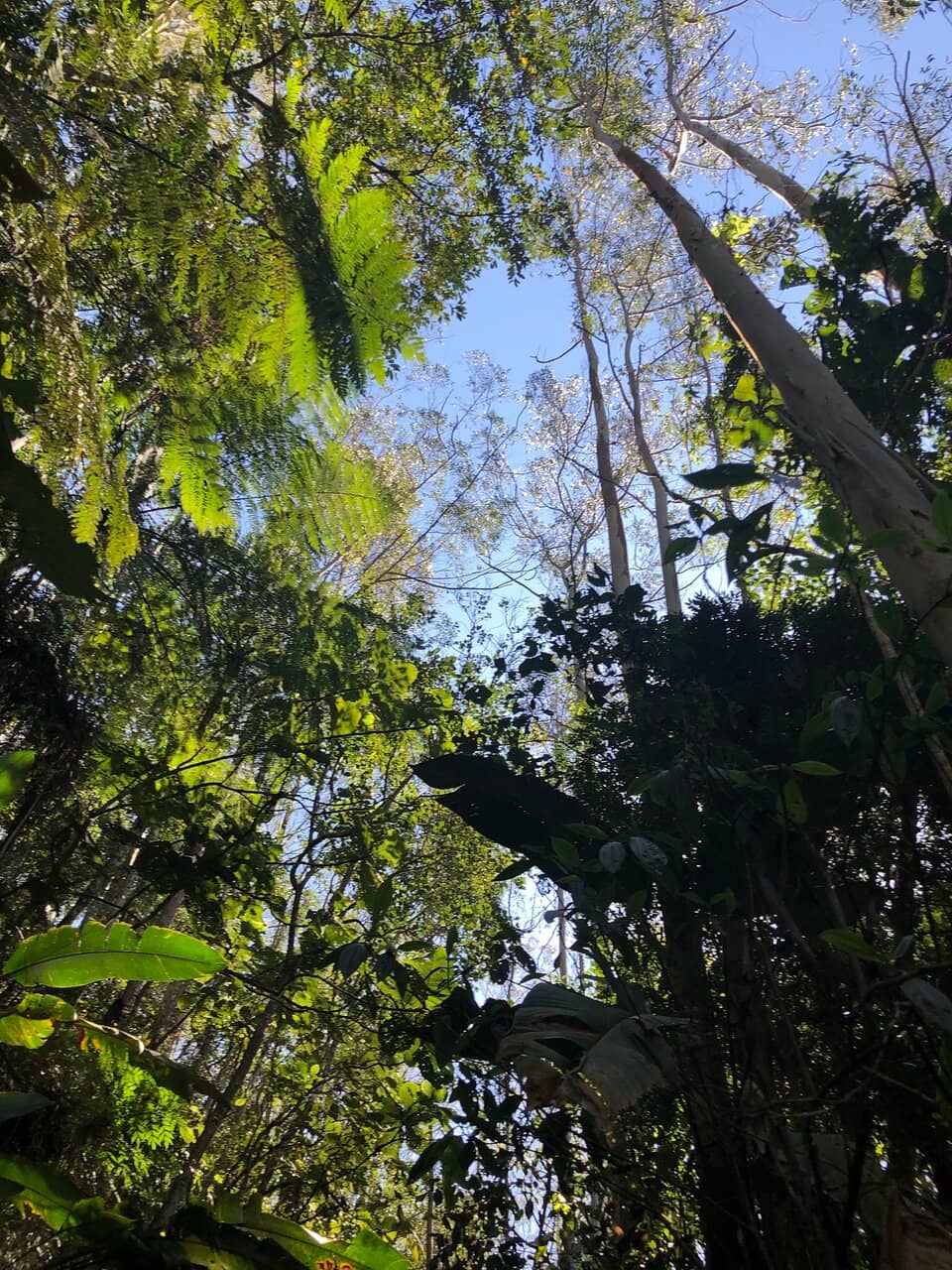 Vertical photo