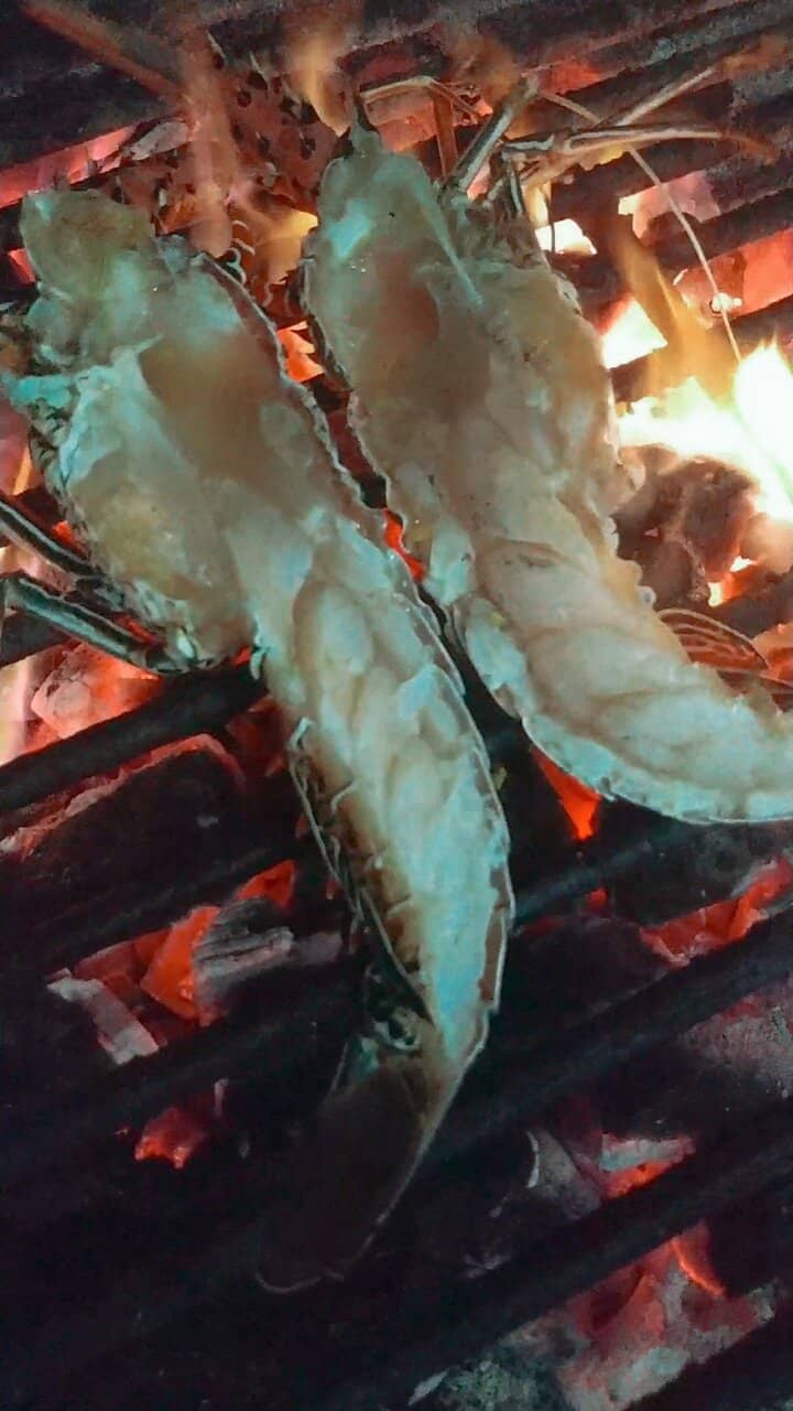 Fresh Seafood Delights