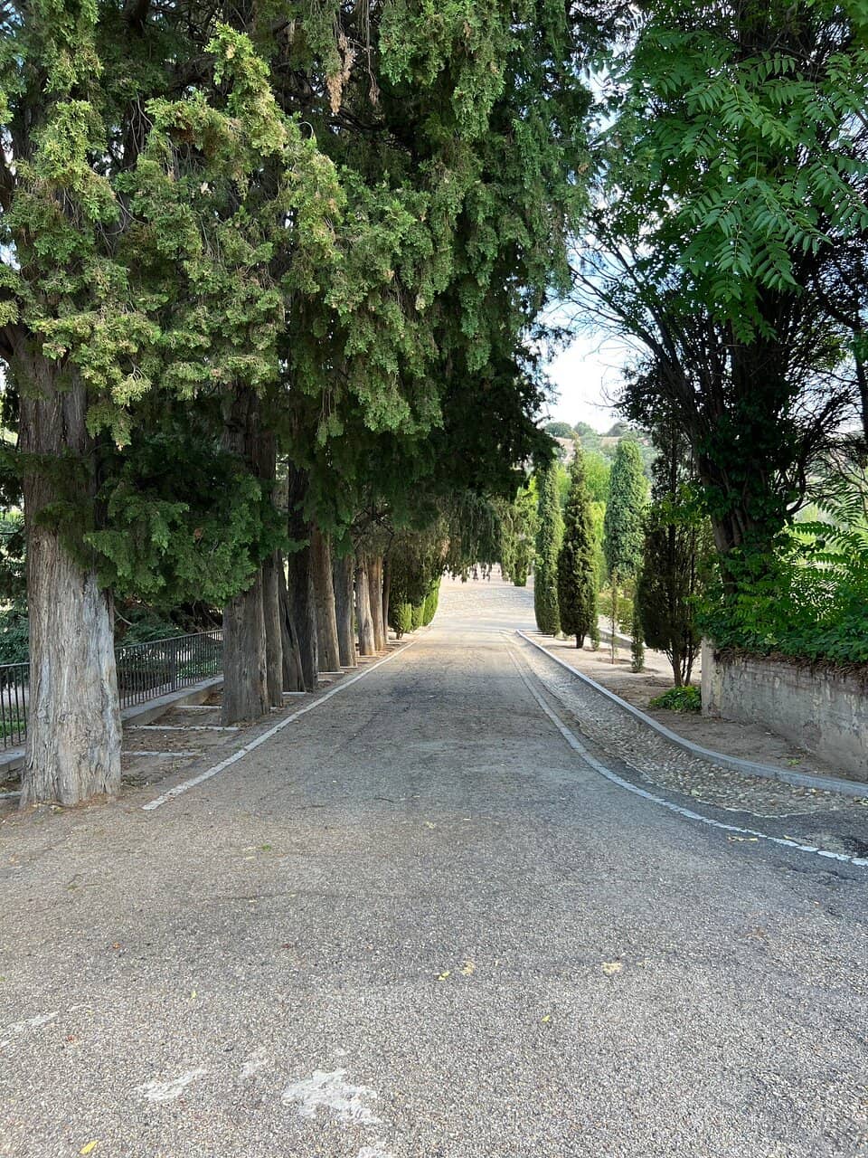 Aristocratic Estate