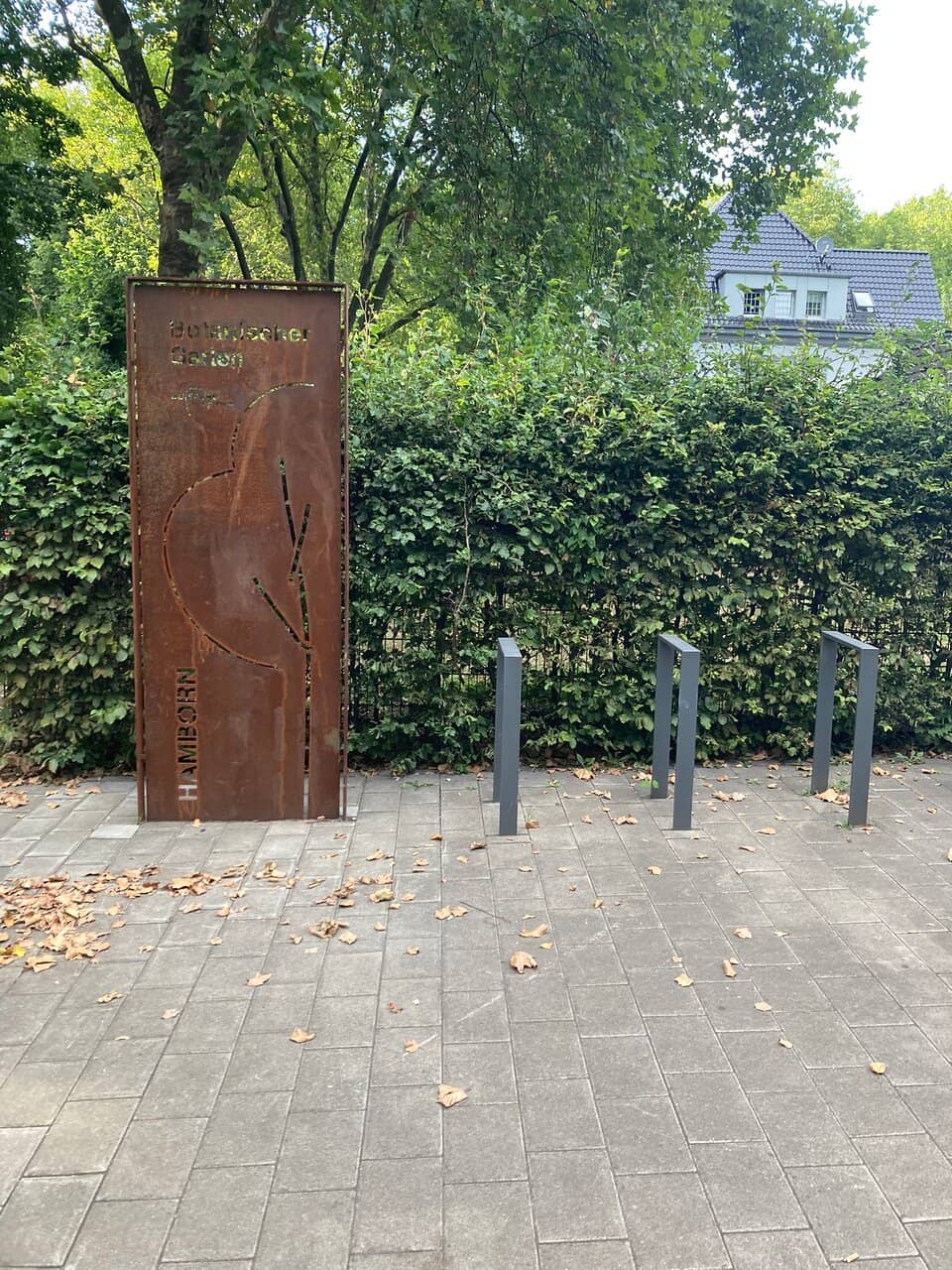 Vertical photo