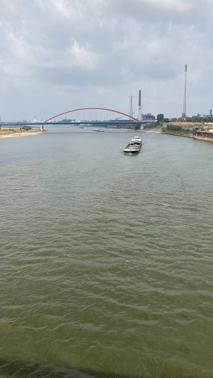 Vertical photo
