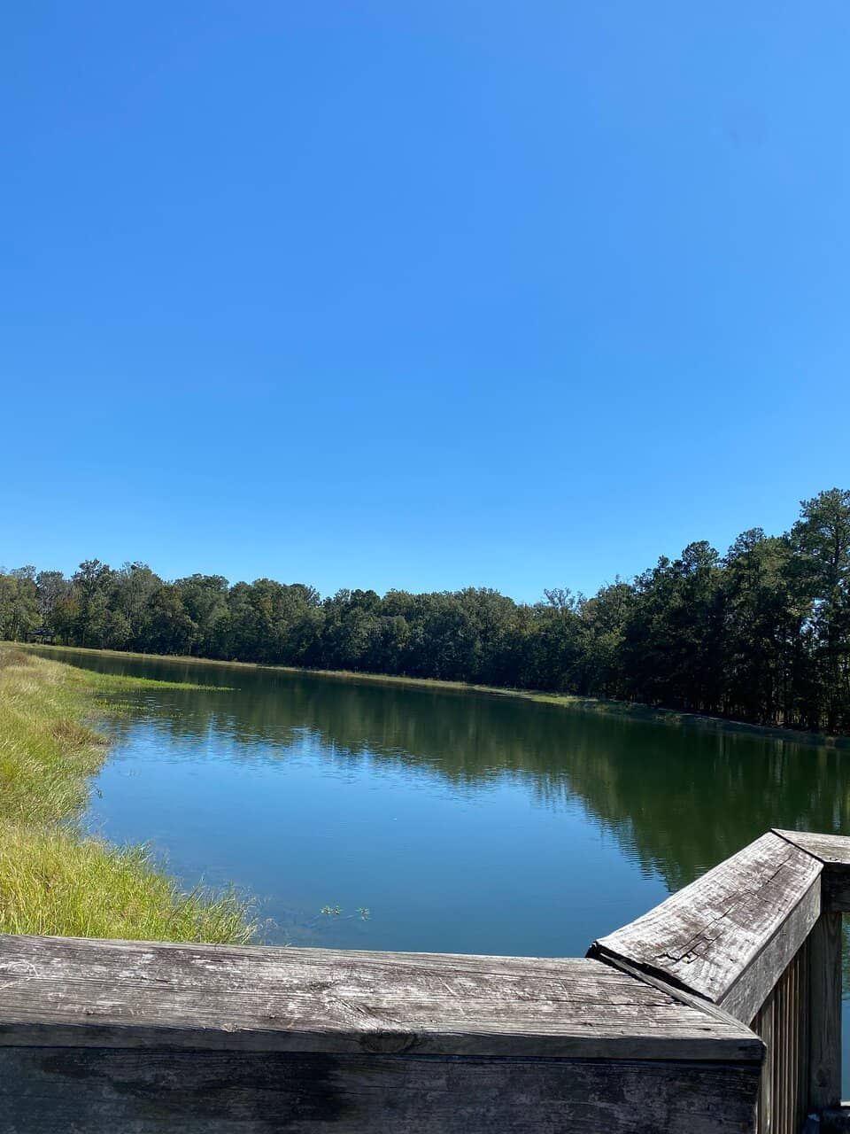 Community Farmers Market