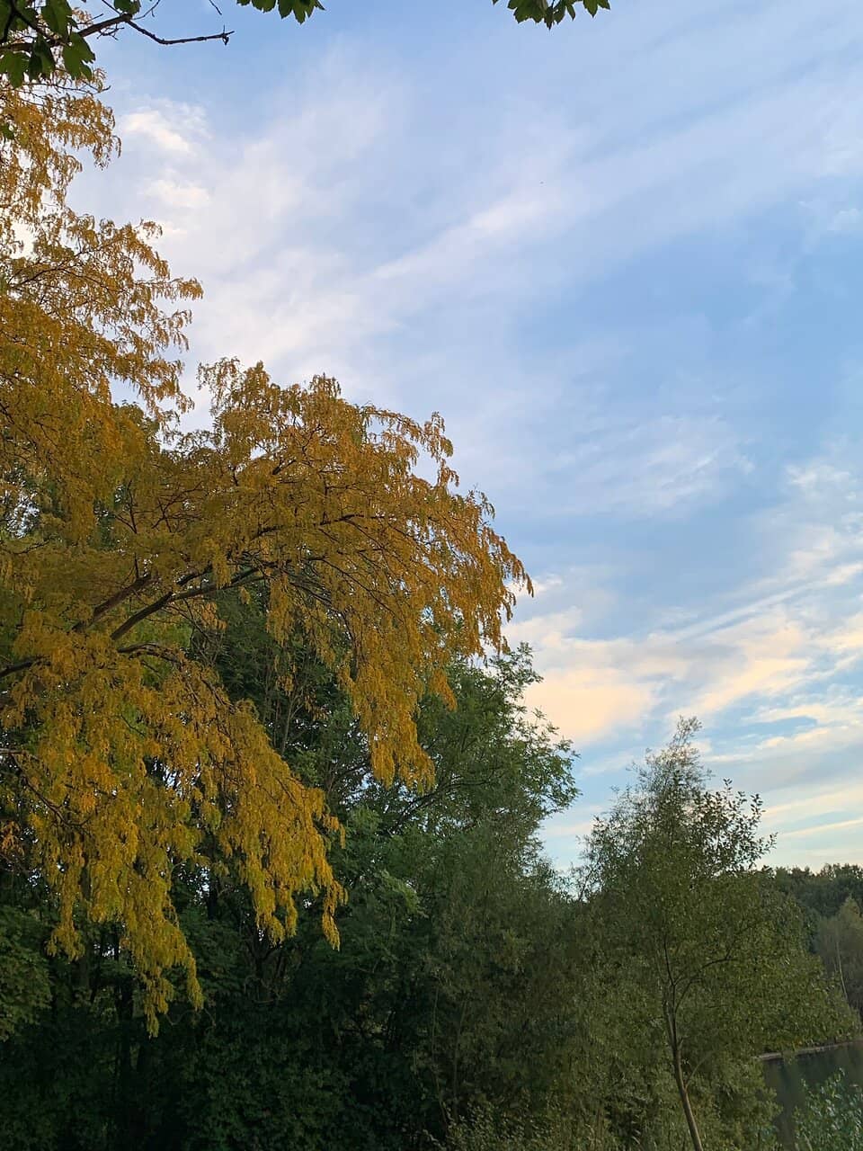 Vertical photo