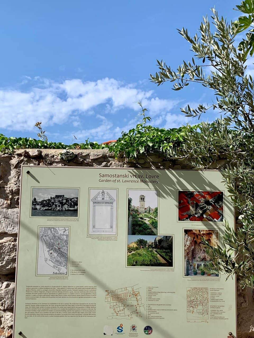 Vertical photo