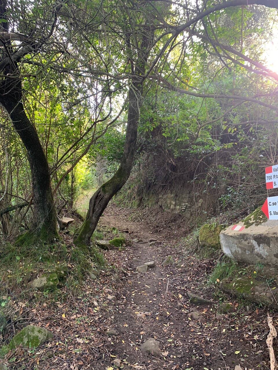 Panoramic Coastal Views