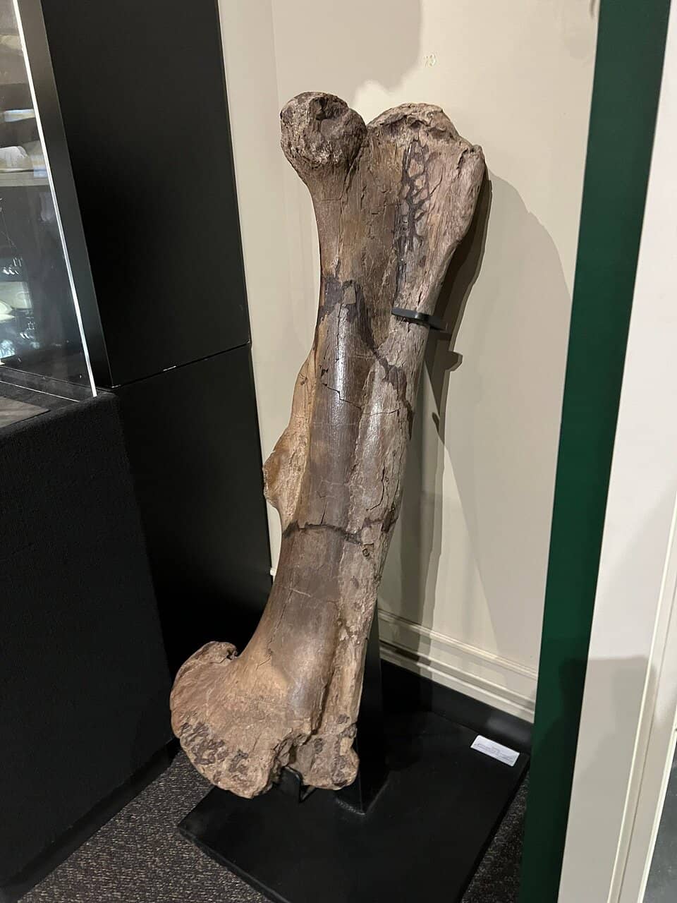 Glowing Rocks and Minerals