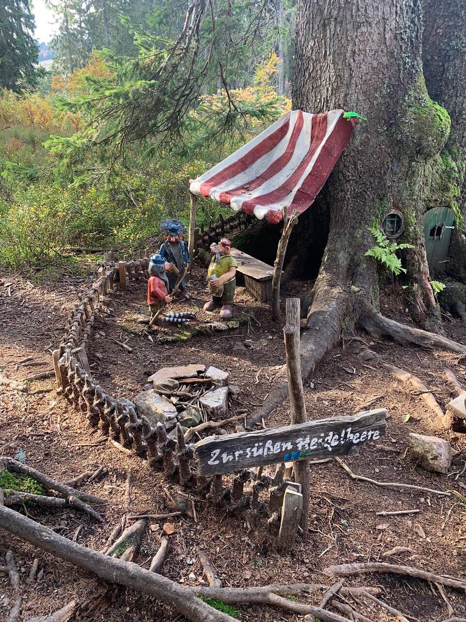 Suspension Bridge Views