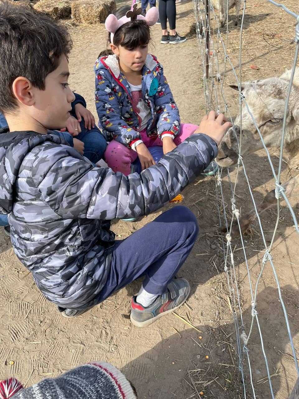 Playground Adventures