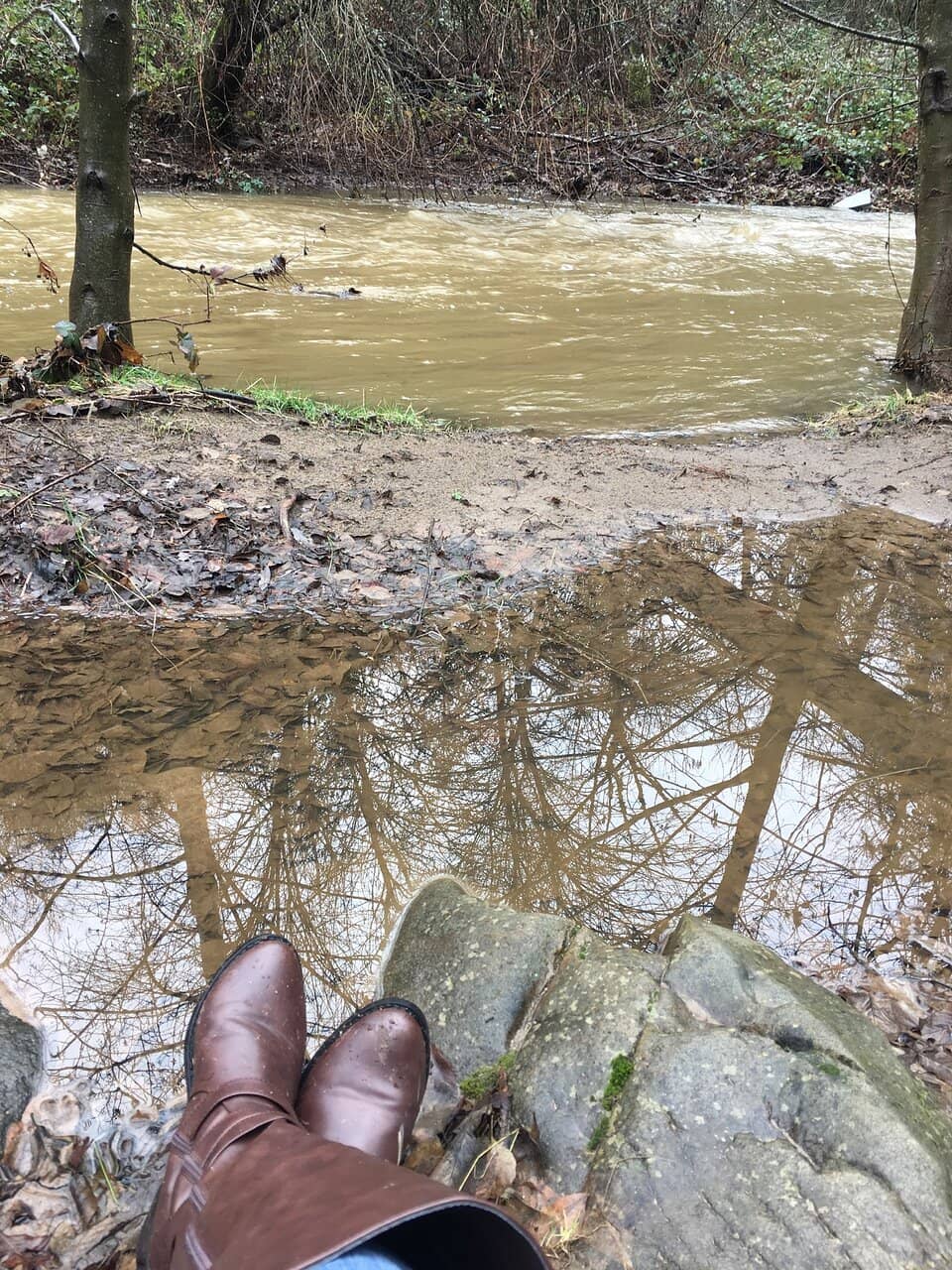 Vertical photo