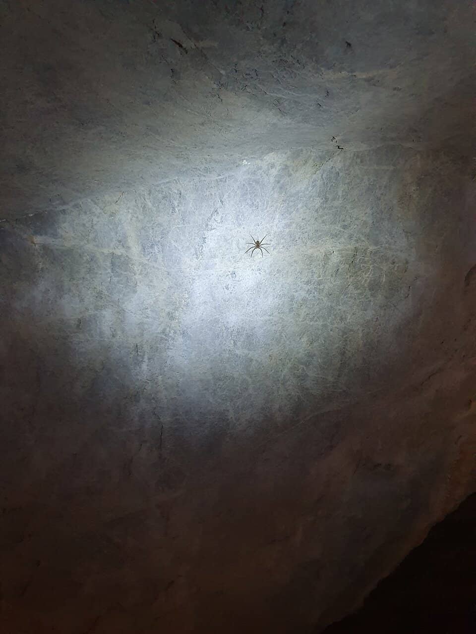 Aboriginal Rock Art Galleries