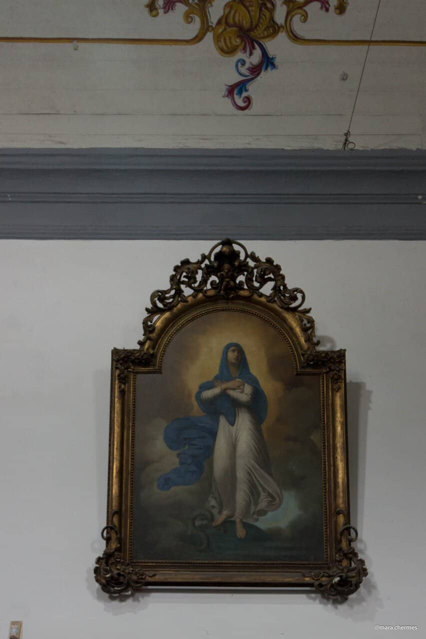 The Lagoon's Ecosystem