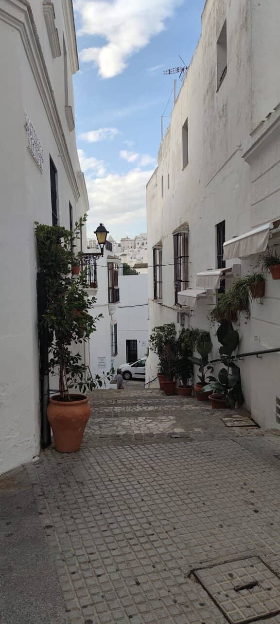 The Canal and Bridges