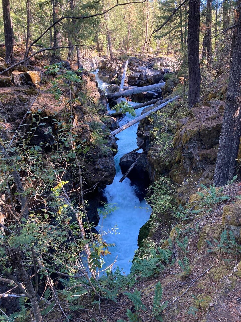 Gorica Forest Park