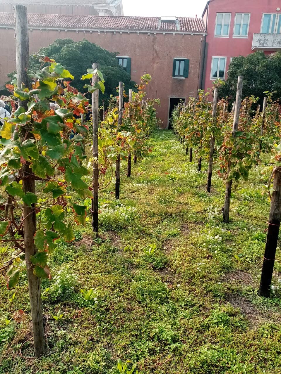 A Peaceful Sanctuary