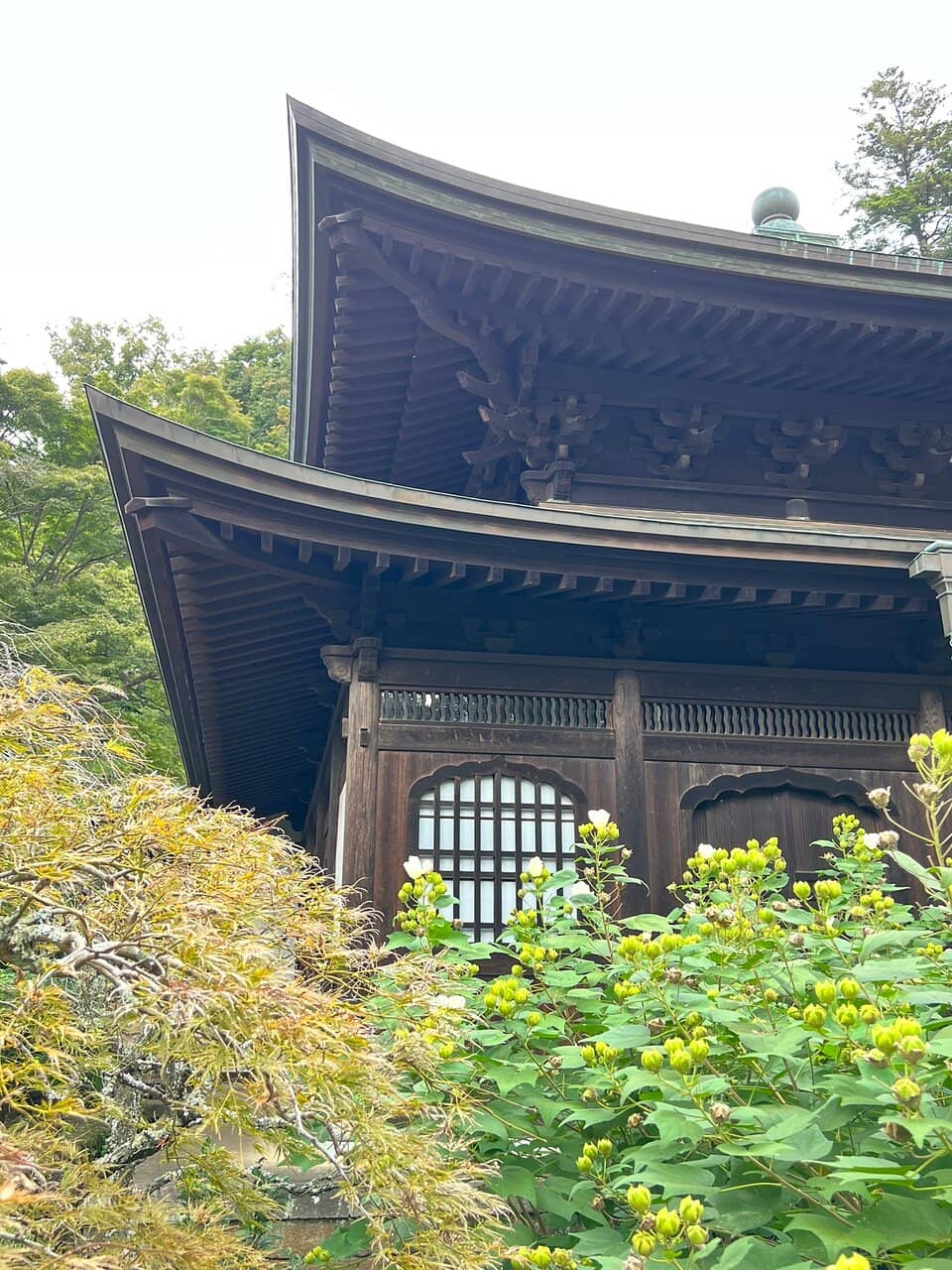 Cave of the Dragon's Mouth