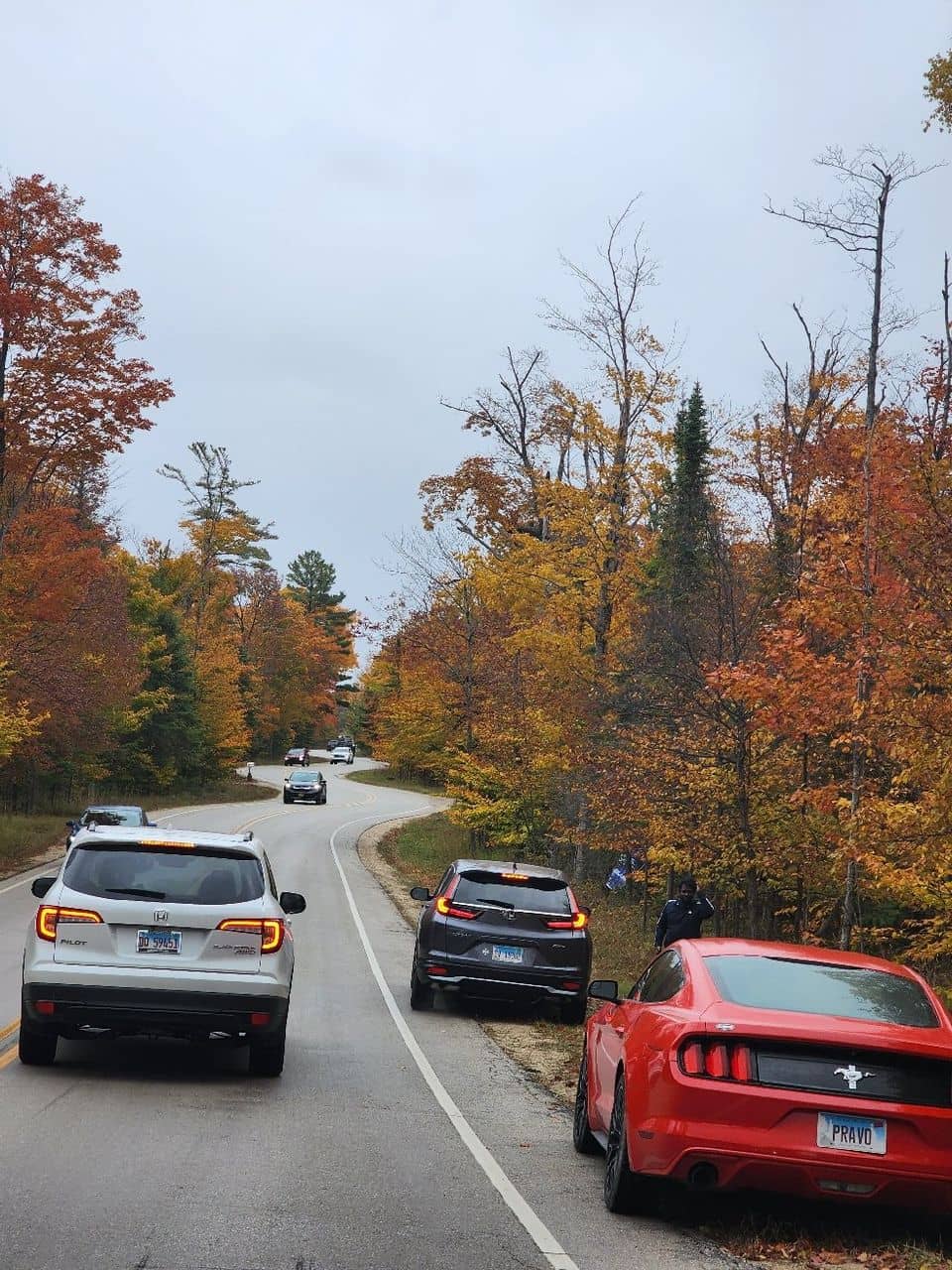 Door County Curvy Road