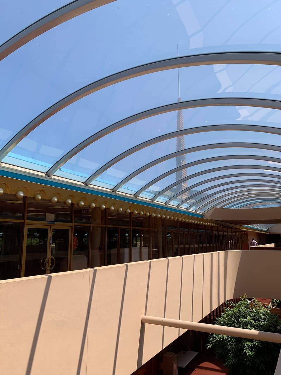 Scenic Overlook Path