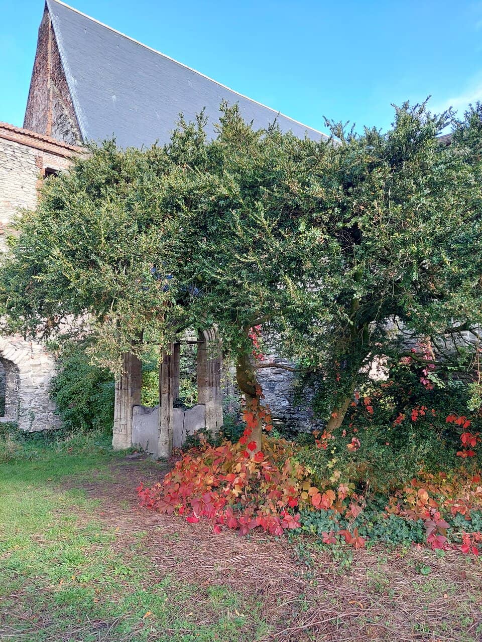 The Birthplace of John of Gaunt